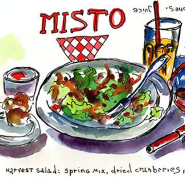 Watercolor illustration of Misto Caffe's harvest salad with spring mix, dried cranberries, and juice.